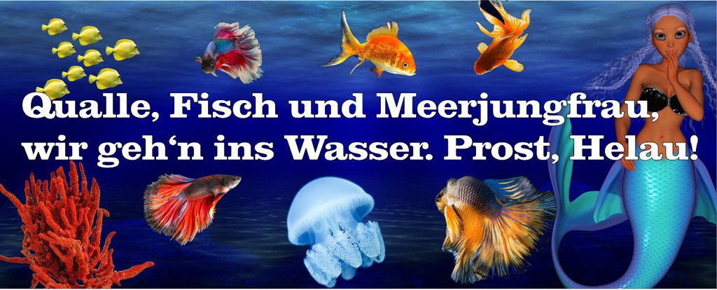 Motto49 bunt